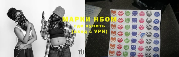ПСИЛОЦИБИНОВЫЕ ГРИБЫ Абаза