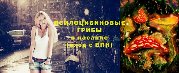 хмурый Алексеевка