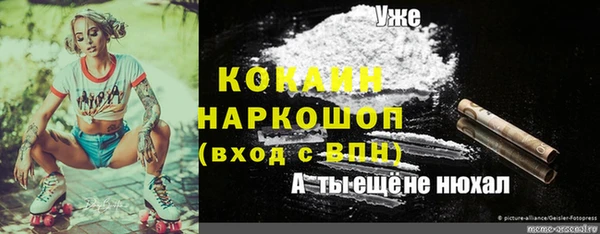 твердый Абинск