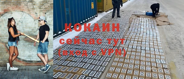 ешки Алексин