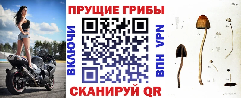 Галлюциногенные грибы GOLDEN TEACHER  Злынка 